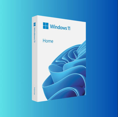 Windows 11 Home USB Retail Versione Completa in Inglese per PC