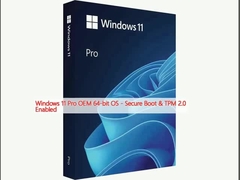 Windows 11 Pro OEM OS a 64 bit - Secure Boot & TPM 2.0 abilitato