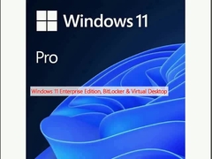 Windows 11 Enterprise Edition, BitLocker e Virtual Desktop