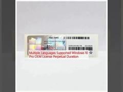 Linguaggi supportati Windows 10 Pro Licenza OEM Durata perpetua