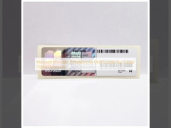 Microsoft Windows 11 Professional OEM Licenza chiave Global Digital Download